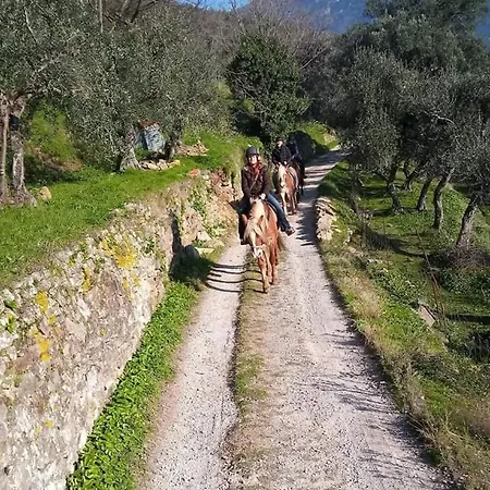 Villamorosa Penzion